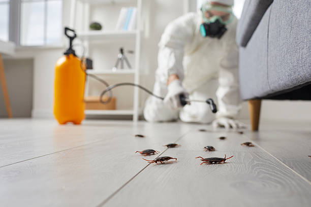 Commercial Kitchen Cockroach Control in Helena-West Helena